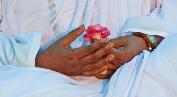Amma's hands holding flower