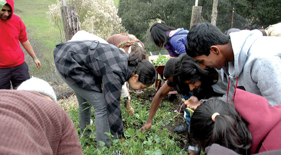 Amma.org: AYUDH Programs for Youth