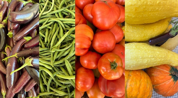 Eggplant, green beans, tomatoes and summer squash grown at Amma Canada Farms