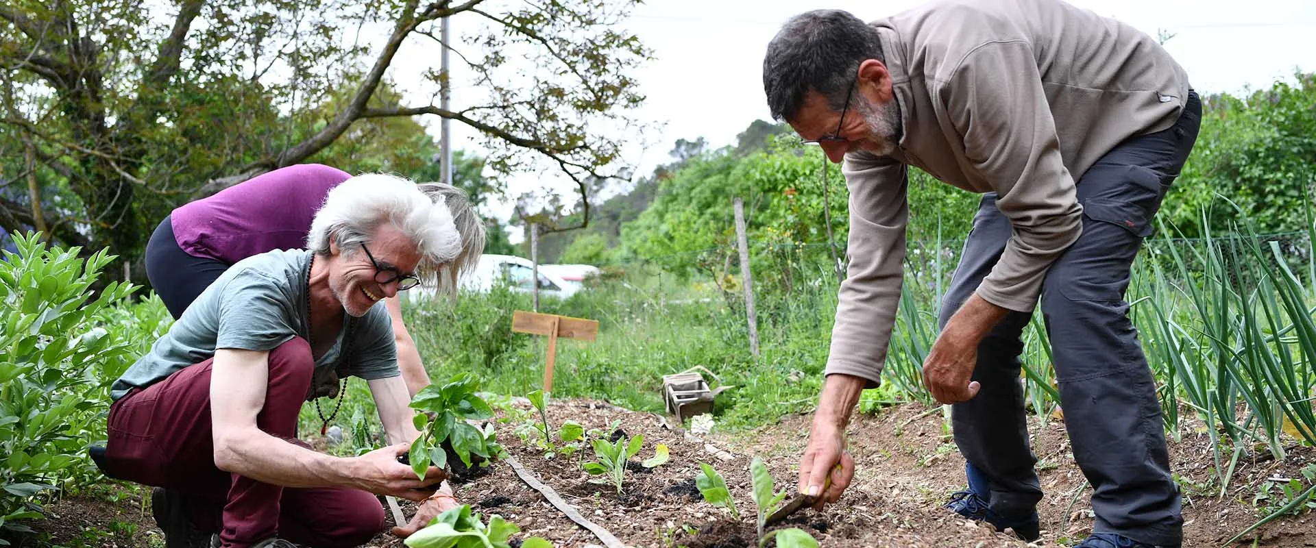 Greenfriends planting seva