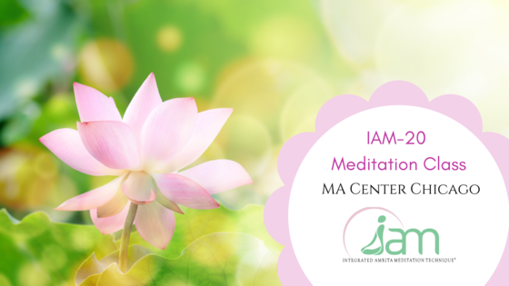 IAM-20 Mediation Class Image