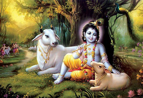 Krishana Jayanthi Celebrations