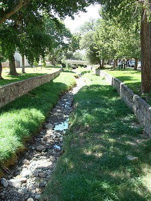 Los Pinos Arroya Cleanup