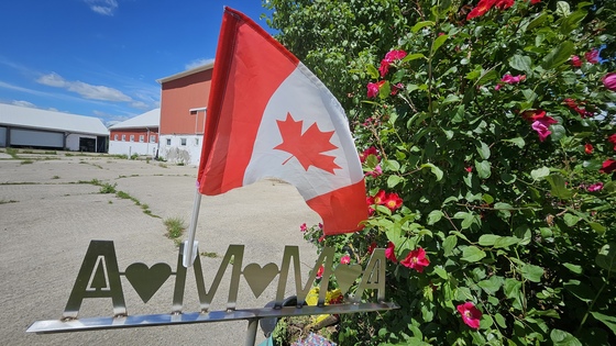 Canadian flag over Amma sign