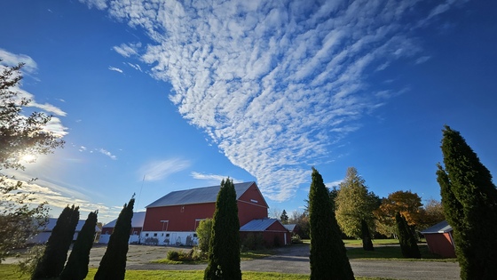 Blue sky and clouds above big barn at Amma Canada Farms