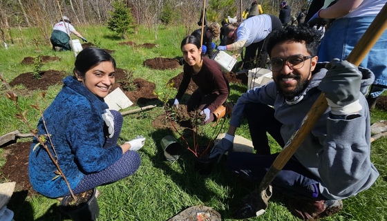 Volunteers tree planting at Neilson Park