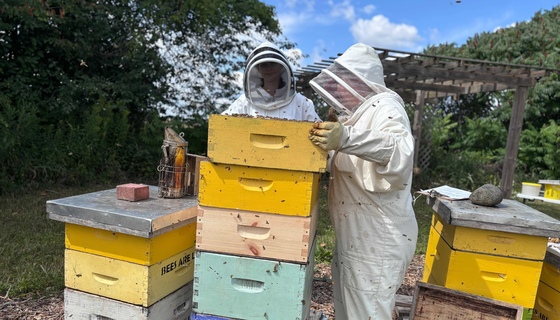 Beekeepers lifting super box