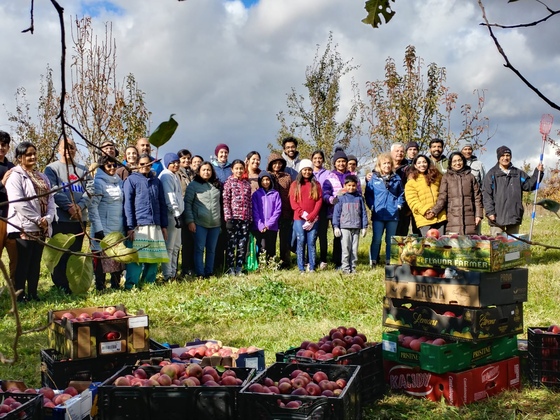 Amrita Bala Kendra group after apple picking at Amma Canada