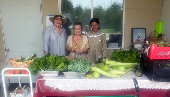 Volunteers with freshly picked veggies for sale