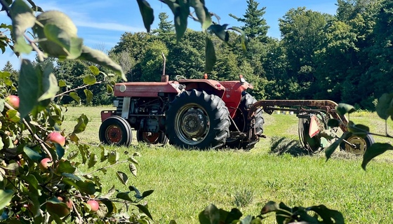 Tractor in field