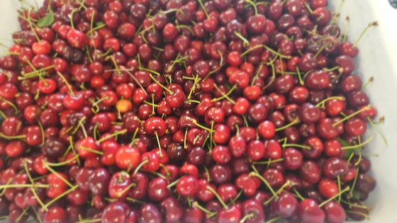 Cherries from Amma Canada's orchard