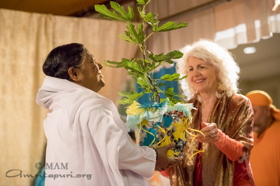 Amma highlighted the importance of our duty towards Nature!