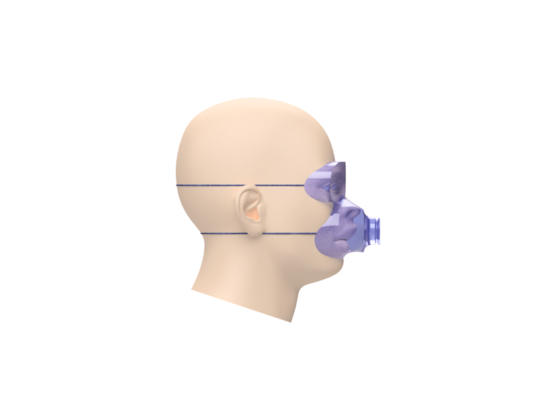 Reusable mask with disposable filters