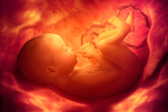 The 21-week pregnant woman’s fetus had a giant tumor