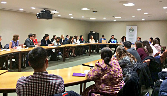 Five AYUDH Americas members attended the UN Youth Forum