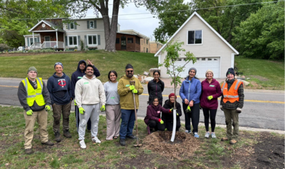 Together, we carefully placed each sapling into the earth!