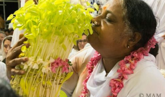 Gift a Sapling on the auspicious Harvest Festival of Vishu - Amma