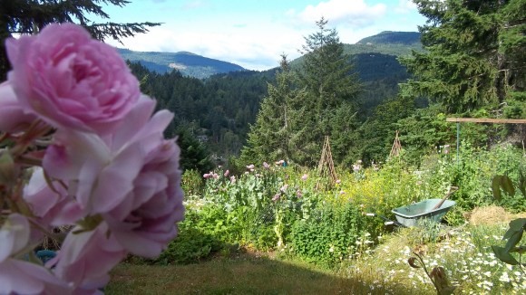 amma.org: Saltspring Island