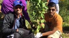 Two young men holding a tree sapling
