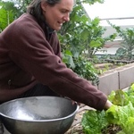 Maheshi in Amma's Greenhouse