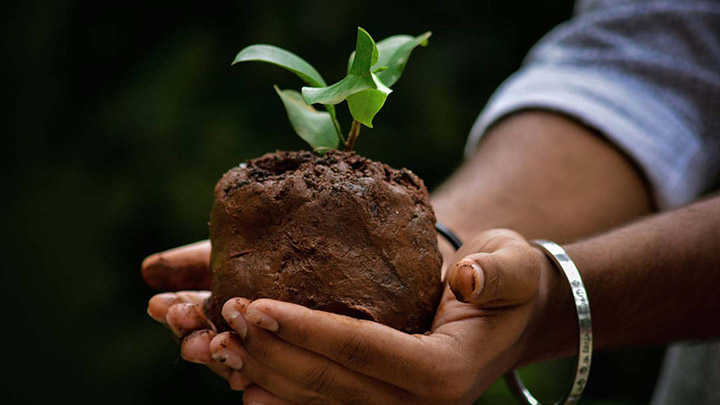 Caring for Nature