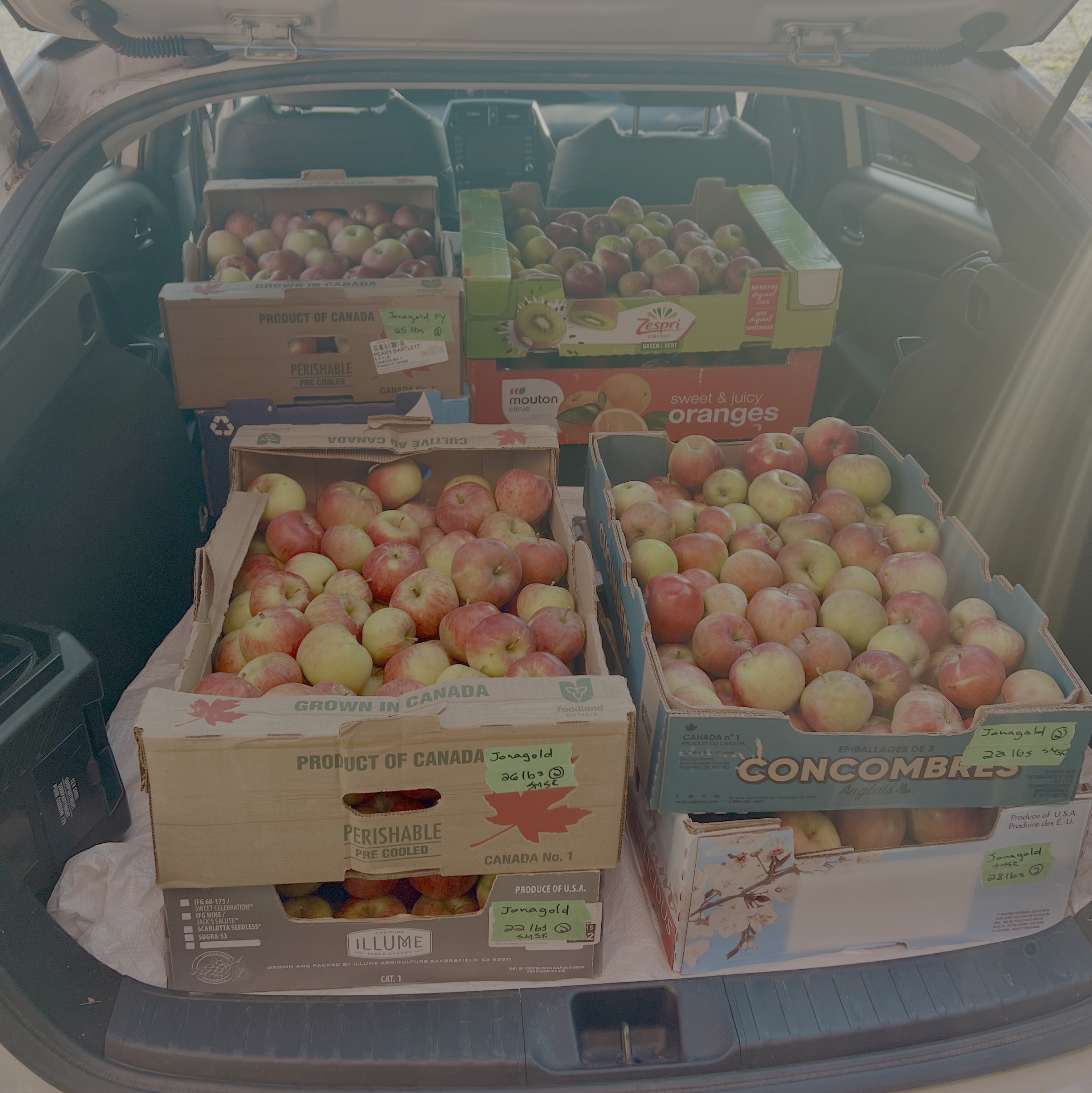 Apples donated to food bank
