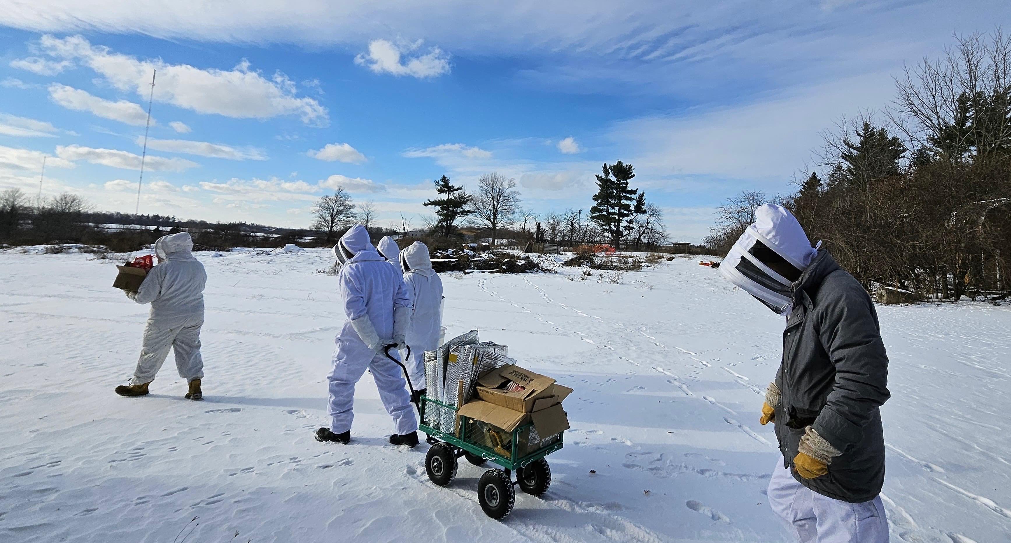Beekeepers walking to hives through snow