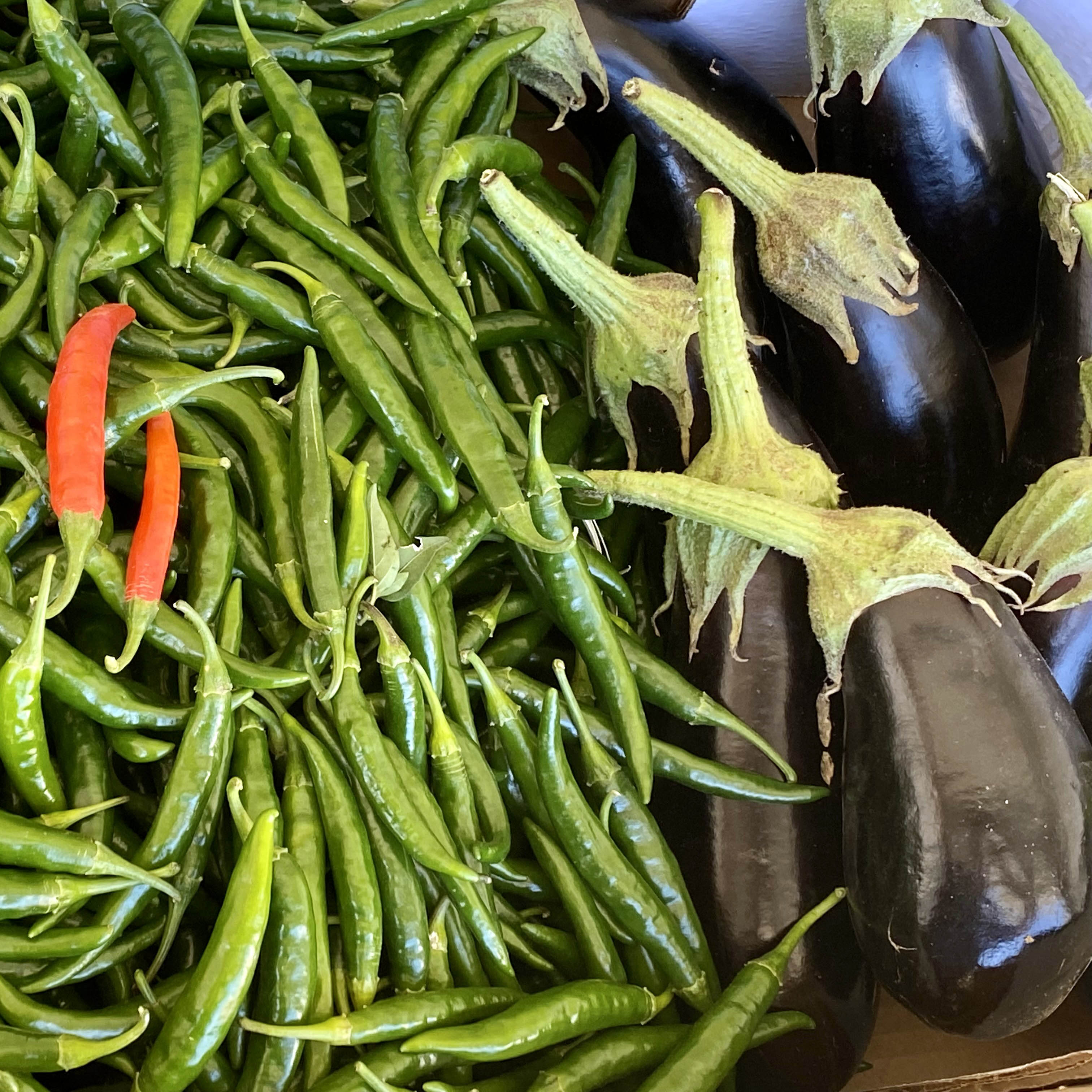 Chillies & eggplant