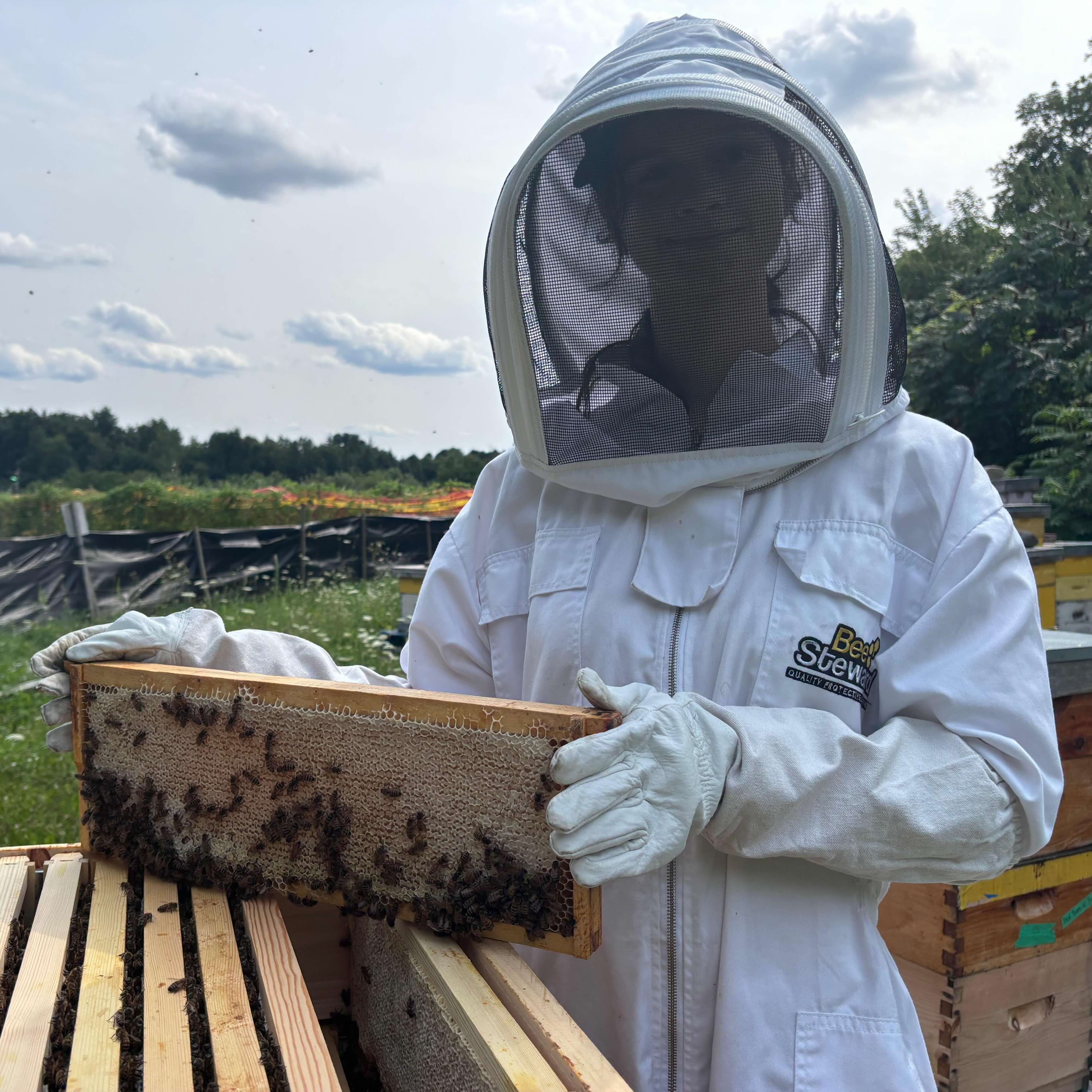 Beekeeper holding fully capped frame