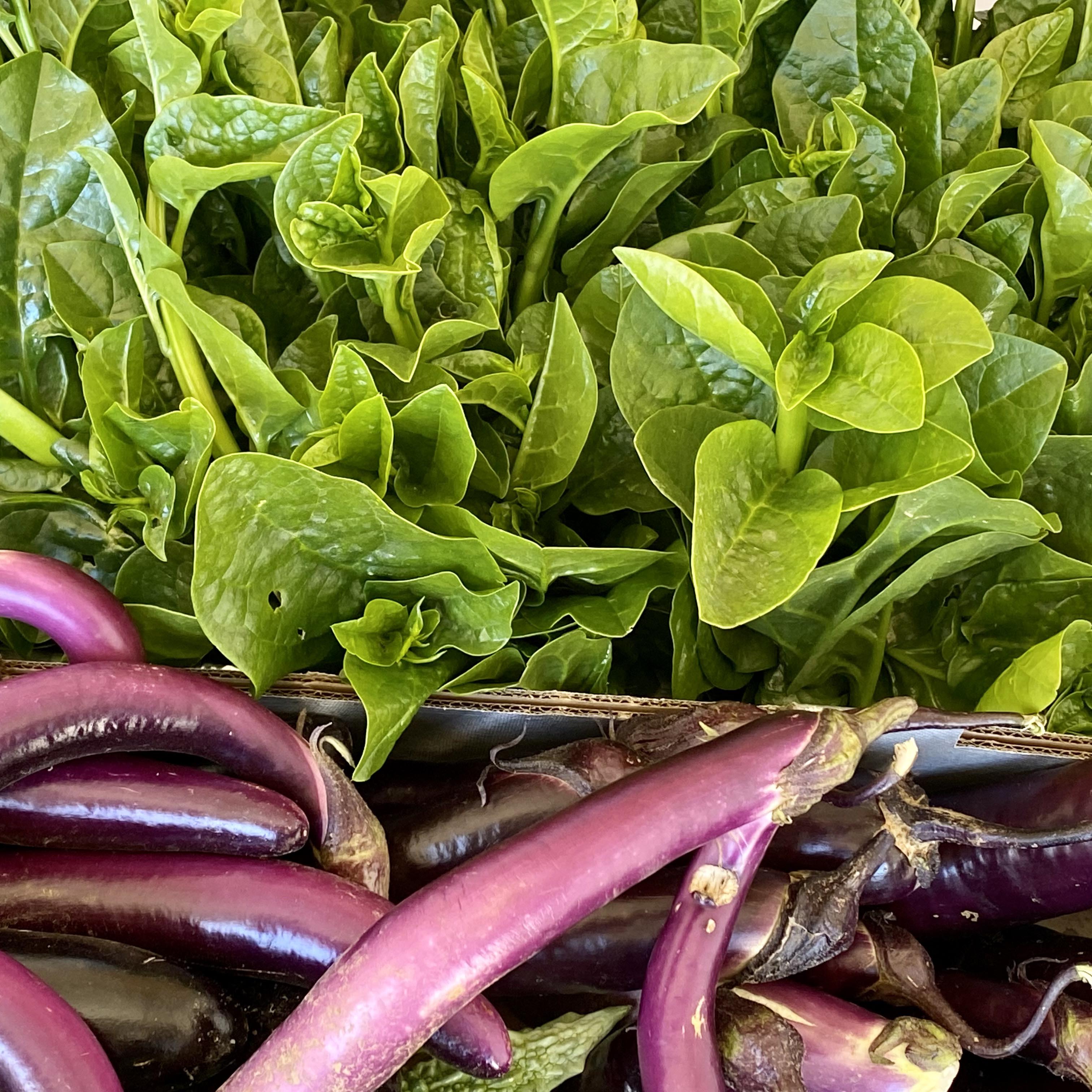 Malabar spinach & long eggplant