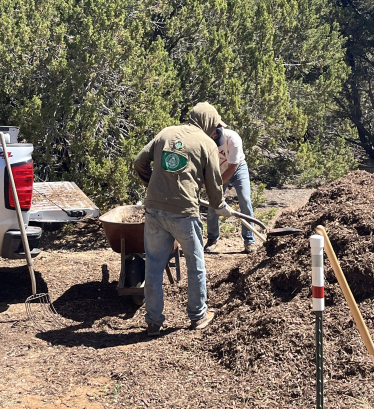 Digging in the mulch pile
