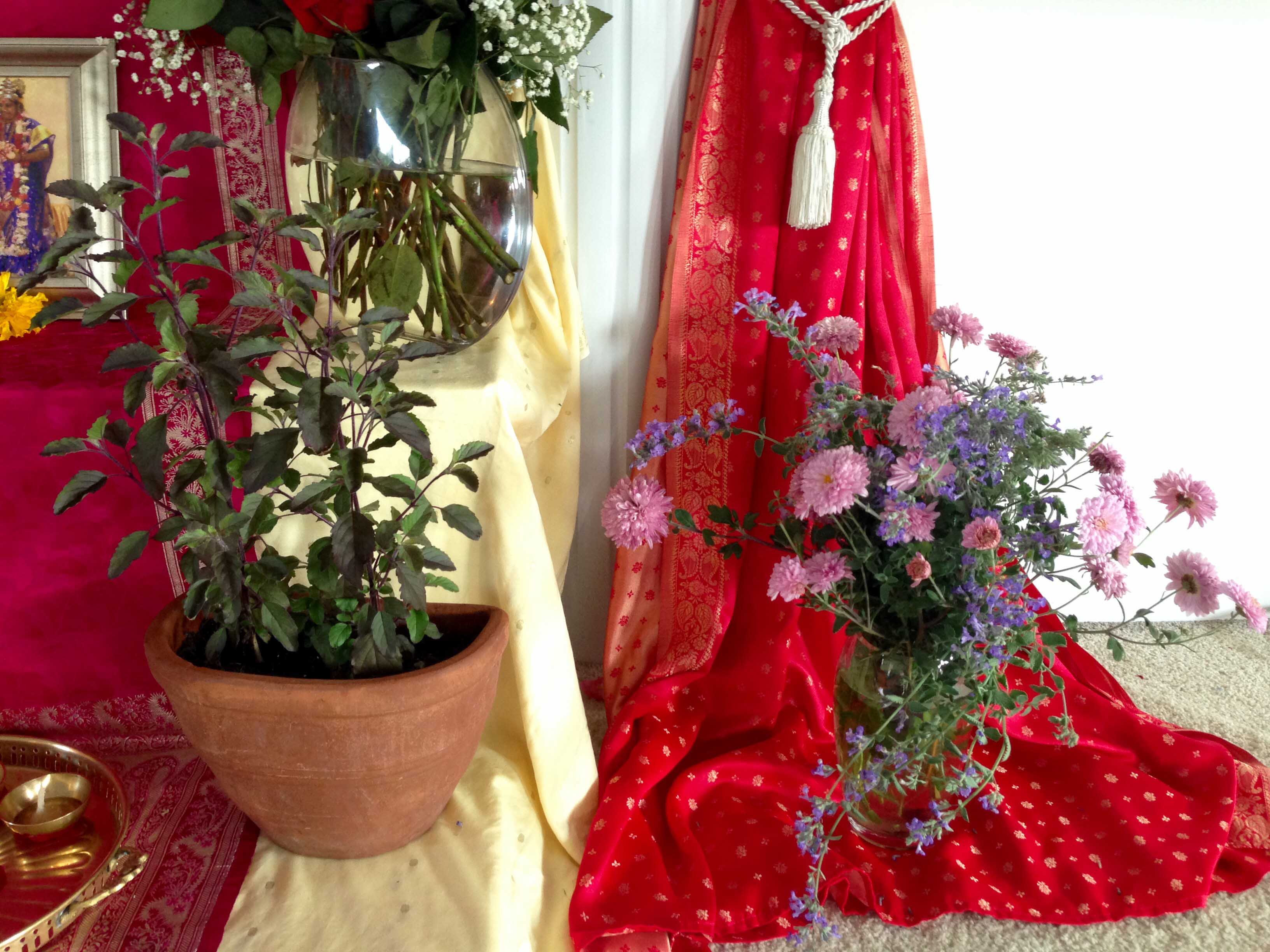 Mums and tulsi basil on the altar