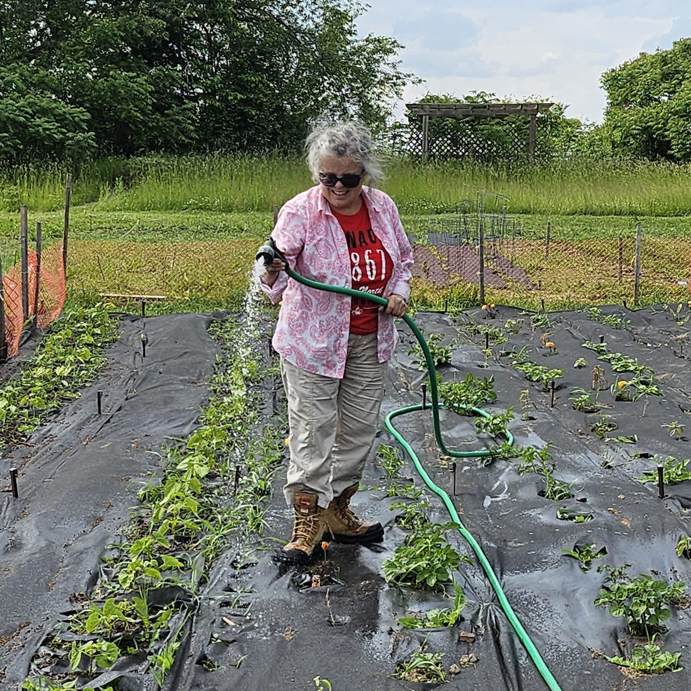 Pauline watering veggie garden square