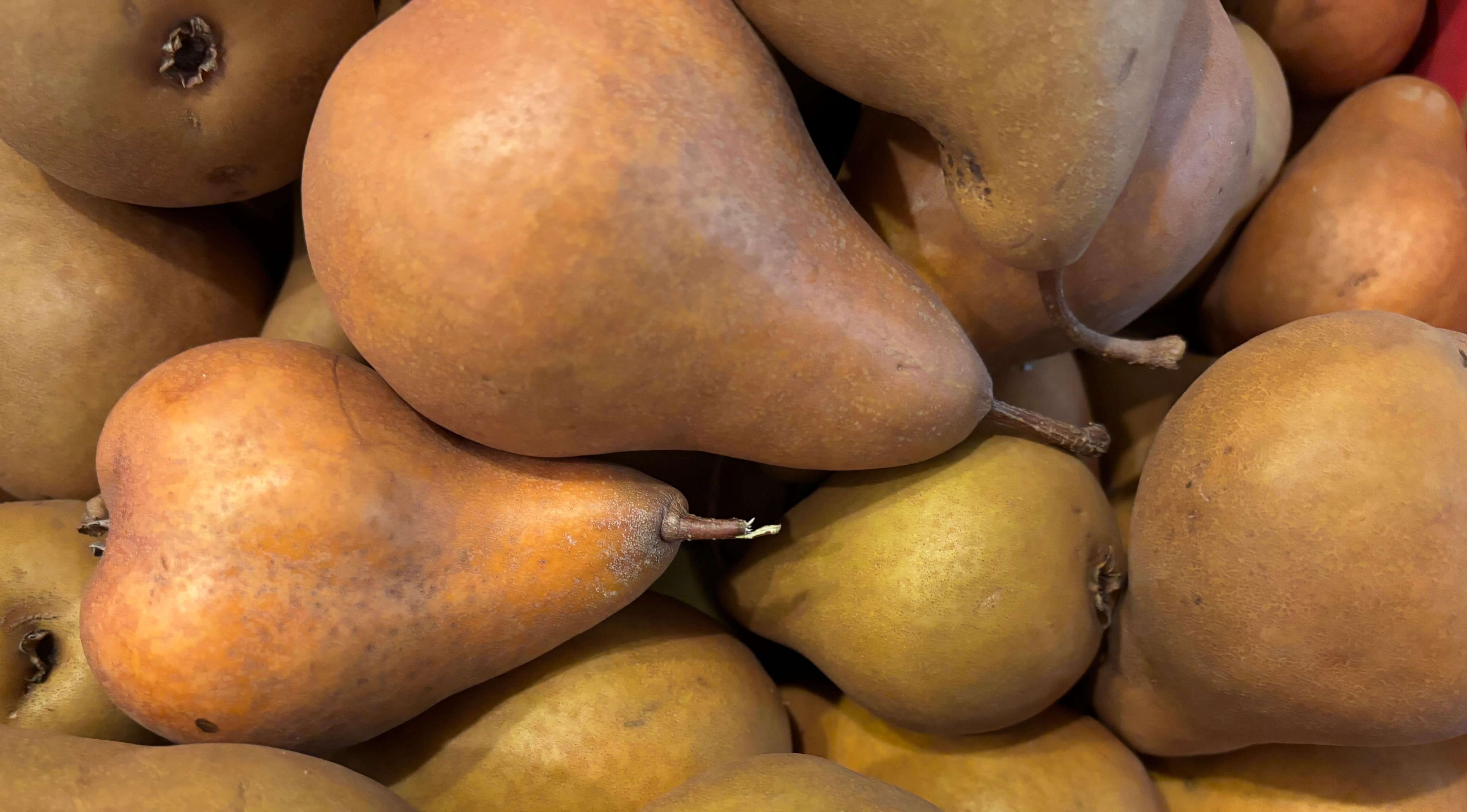 Bosc Pears from Amma Canada orchard