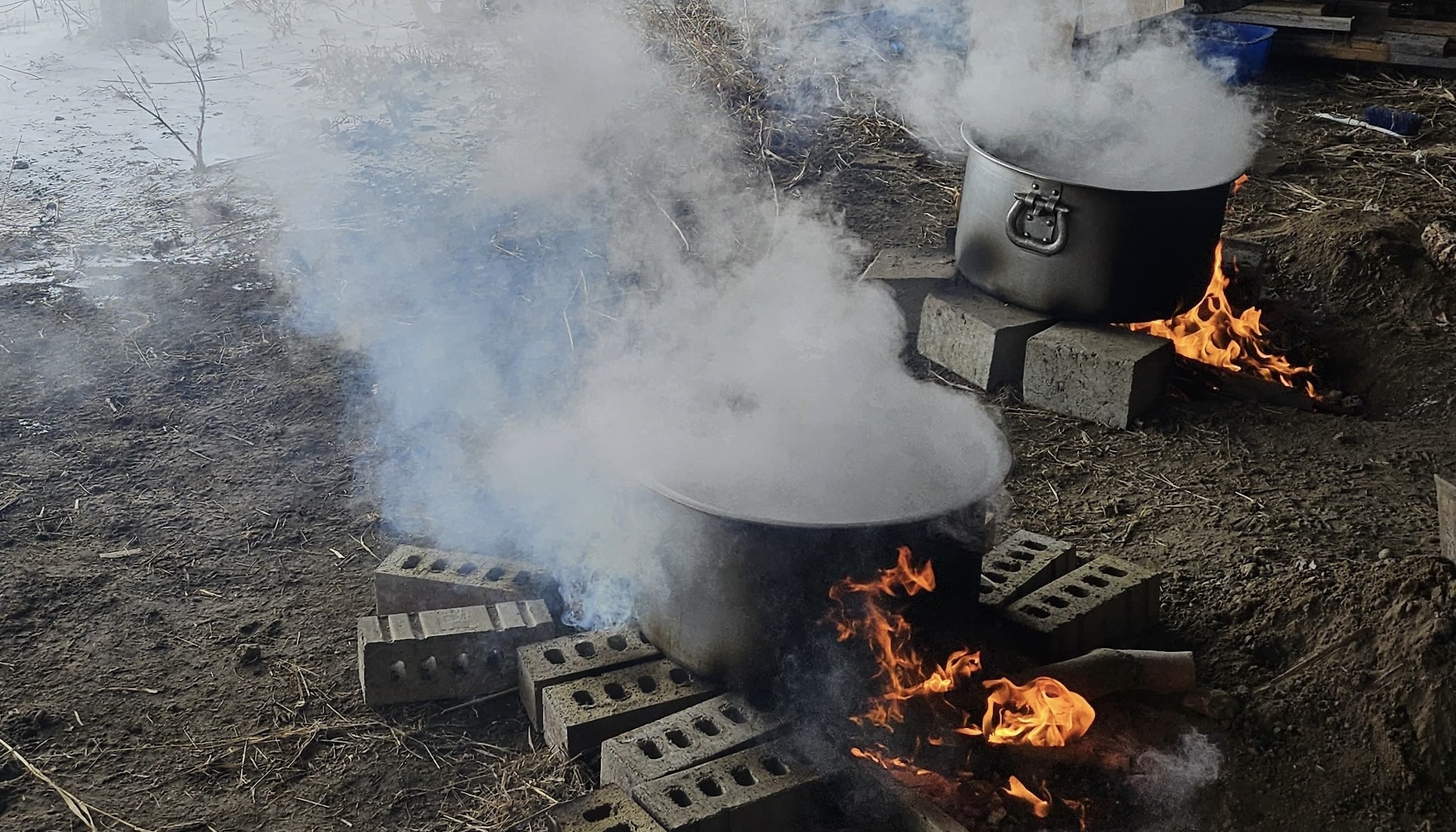 Sap boiling over the fires