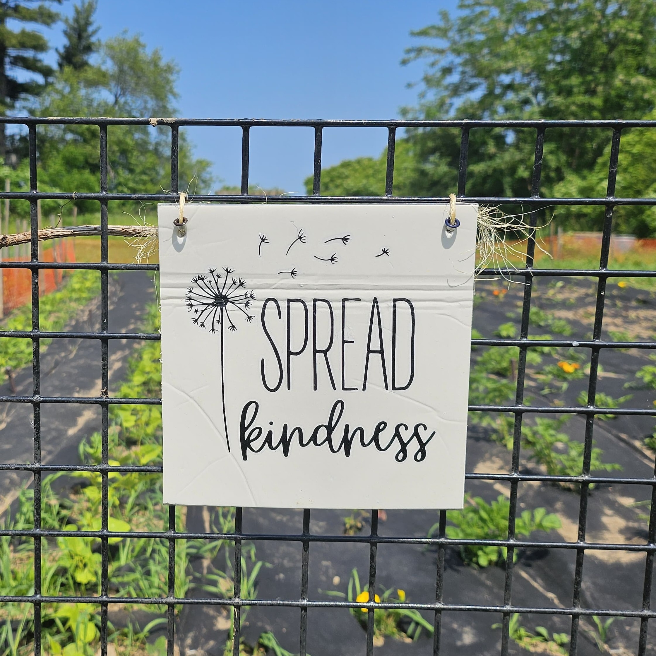Sign on veggie garden fence that says: "Spread Kindness'