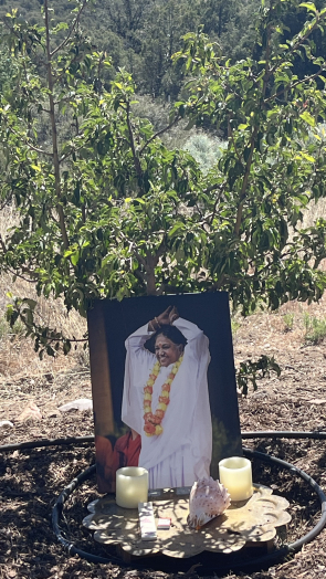 Vaishnavi's Tree