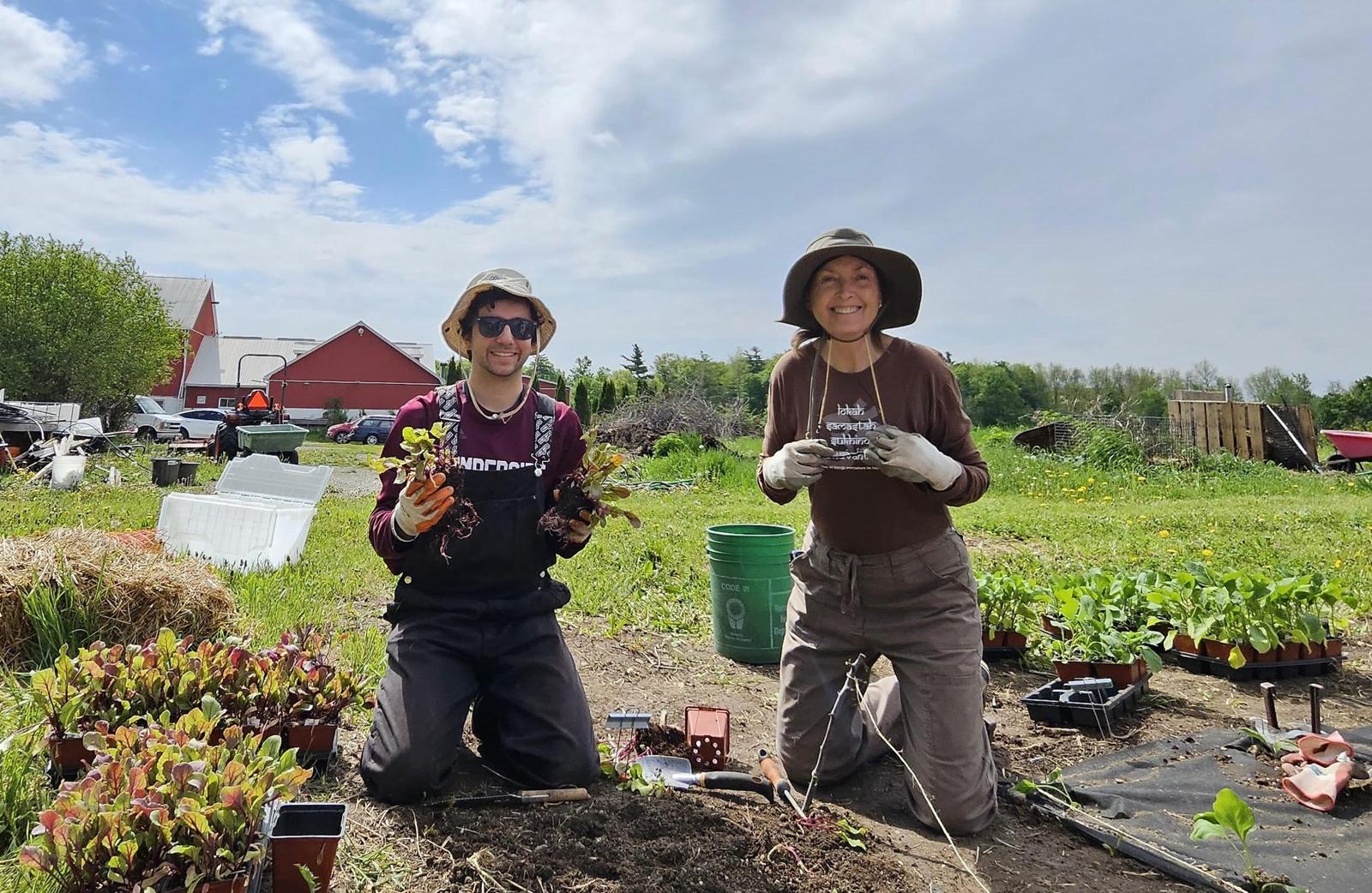 Volunteers holding seedlings in the Amma Canada veggie garden